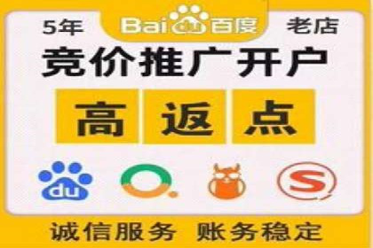 竞价排名优化策略案例分析